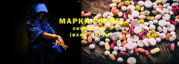 индика Белокуриха
