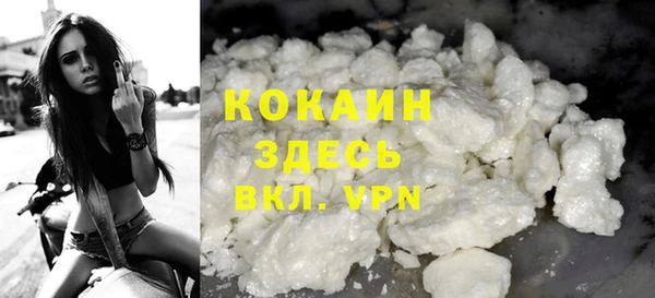 индика Белокуриха