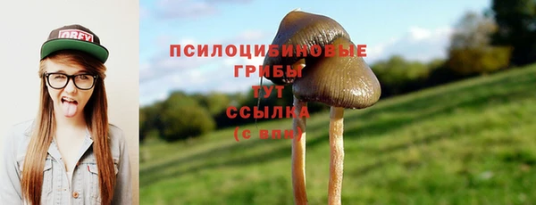 индика Белокуриха