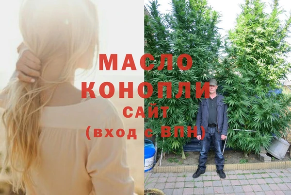 индика Белокуриха