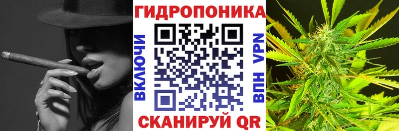 Шишки марихуана планчик  что такое   Кяхта 